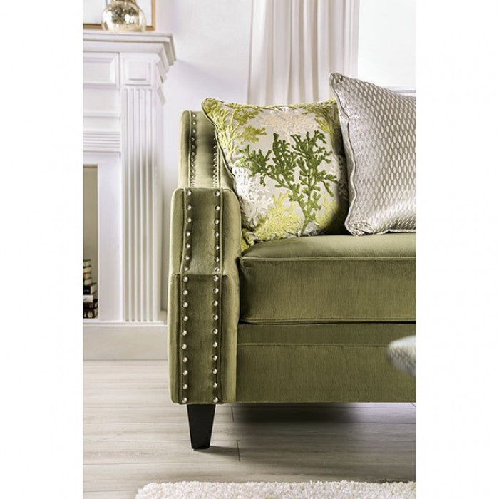 Furniture of America Waterlily Nailhead Trim Sofa IDF-2684-SF