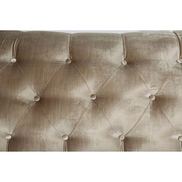 Furniture of America Westmoreland Nailhead Trim Loveseat in Champagne IDF-2685-LV