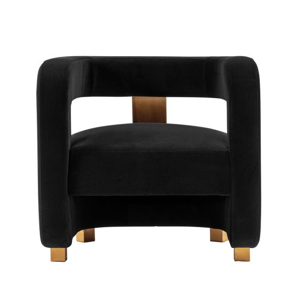 Manhattan Comfort Modern Amirah Velvet Accent Chair