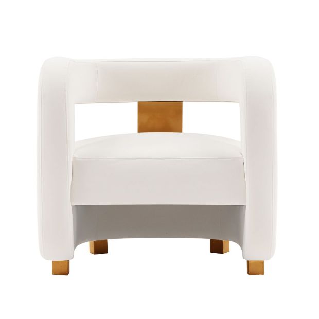 Manhattan Comfort Modern Amirah Velvet Accent Chair